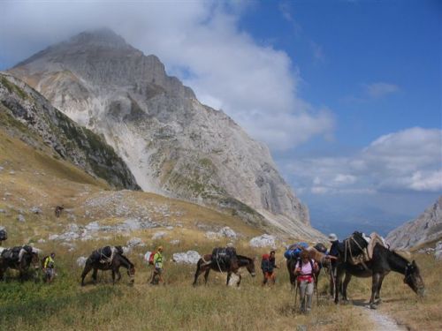 trekking con i muli-260.jpg